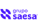 Grupo Saesa