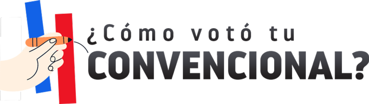 ¿Cómo votó tu convencional?